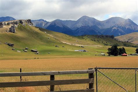 Image result for Springfield NZ