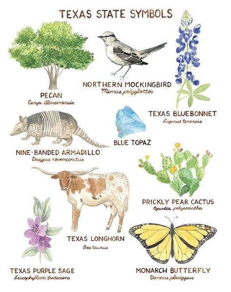 Wild Texan Legends: Exploring Animal Icons at the Park, Guadalupe River ...