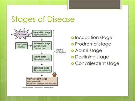 PPT - Infection Control PowerPoint Presentation, free download - ID:9099995