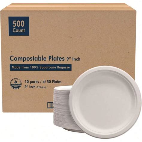 Platos de papel compostables de 9 pulgadas, paquete a granel [500 por ...