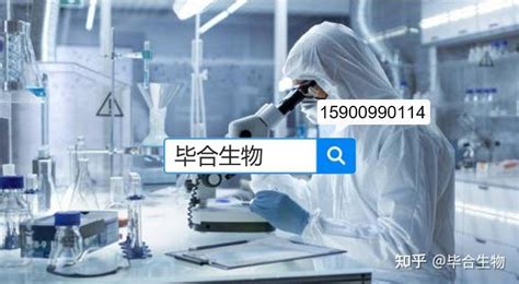生物技术图片 的图像结果