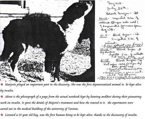 Diabetes India - Diabetes