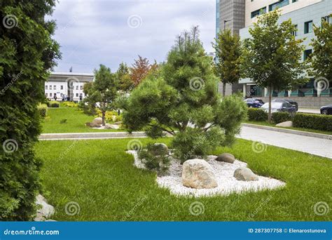 A Pine-lined Road Leading From The Main Gate To The Christian ...