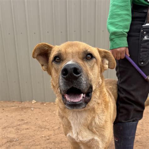 Axel - 15/10 Foundation