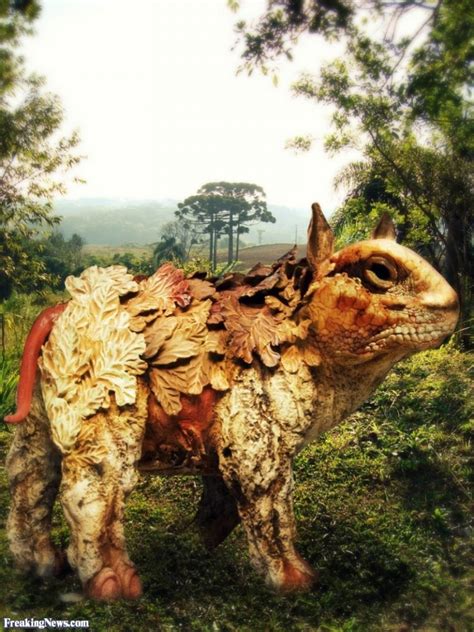 Image result for Photo Manipulation Mash Up Tutorial Tutorials