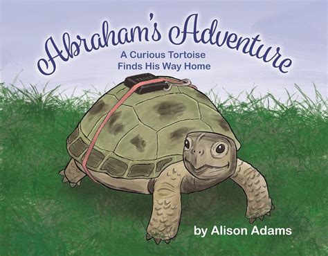 Abraham's Adventure: A Curious Tortoise Finds His Way Home eBook ...