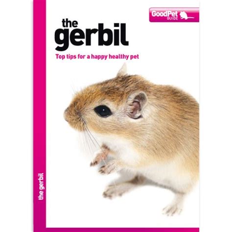 The Gerbil - Good Pet Guide : Various: Amazon.in: Books