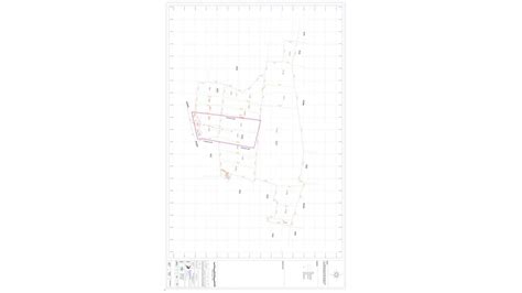 Star Survey Institute