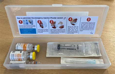 Image result for Emergency Injection Kit
