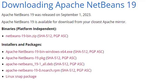 Image result for C Programming NetBeans