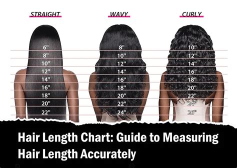 Hair Length Chart: Guide to Measuring Hair Length Accurately