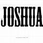 Joshua 的图像结果
