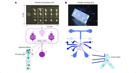 Image result for Microfludics Cell Encapsulation