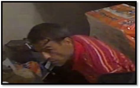 Se busca sospechoso de escalar una residencia en Arecibo - Primera Hora