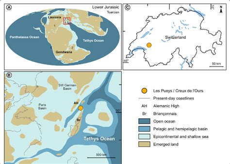 Image result for Fossil Formation Process Map