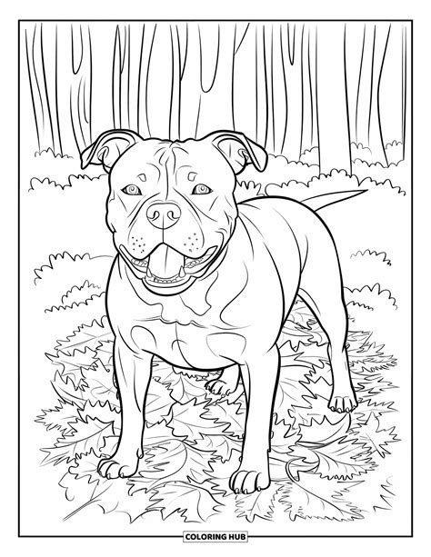 100+ Pitbull Coloring Pages for Kids & Adults (Free Printable PDFs)