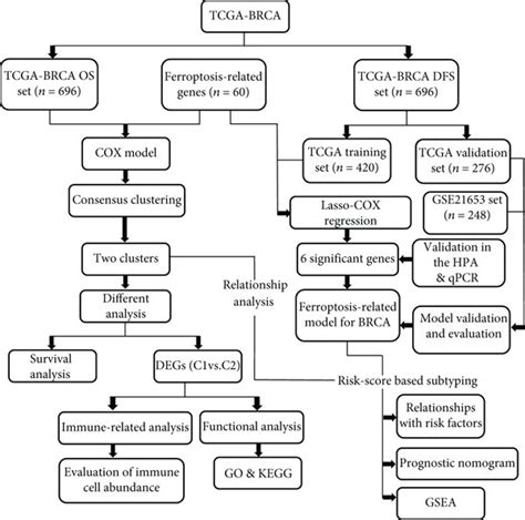Image result for Python Flowchart Examples Topic Wise Data Collection