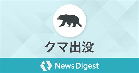 Image result for Raster Image Python