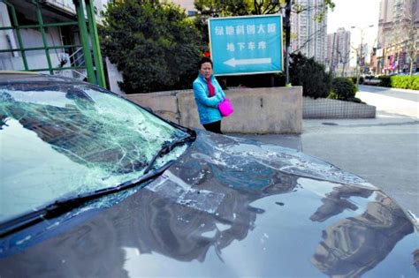 台风“丹娜丝”在路上，上海如何破解高空坠物难题？