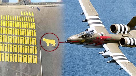 How an A-10 Warthog ended up with a kill marking of a cow