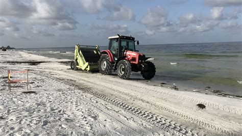 Florida's Gulf Coast Battles Deadly And Smelly Red Tide | NCPR News