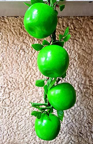 Buy Wonderland Artificial Green Apple Fruit String -Natural Online at ...
