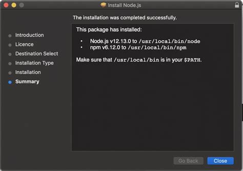 Step-By-Step Guide to Install Node.js on Windows & macOS