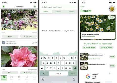 Edible Plant Identification App 的图像结果
