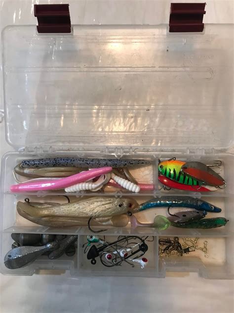 Can a Fish Survive With a Hook in Its Mouth - Angling Journal