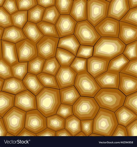 Image result for Turtle Shell Texture Card