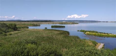 Vaderstad Tourism (2024): All You Need to Know Before You Go