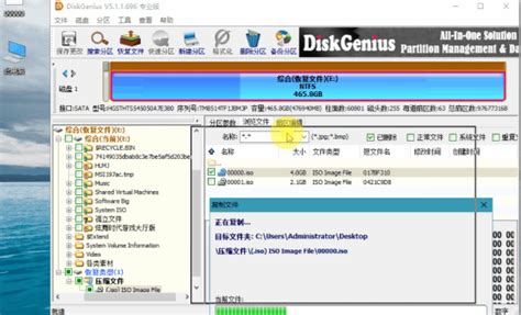 DiskGenius Pro v5.1.1.696单文件专业版下载_都都软件站