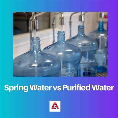 Spring Water vs Purified Water: Difference and Comparison