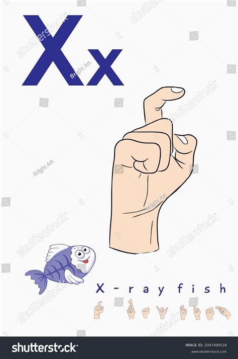 Image result for Sign Language Alphabet for Preschool