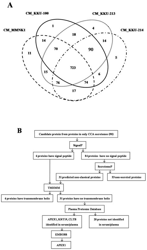 Serum Apurinic/Apyrimidinic Endodeoxyribonuclease 1 (APEX1) Level as a ...