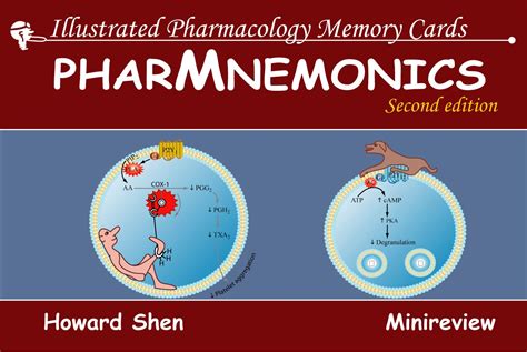 Buy Illustrated Pharmacology Memory Cards: PharMnemonics Book Online at ...