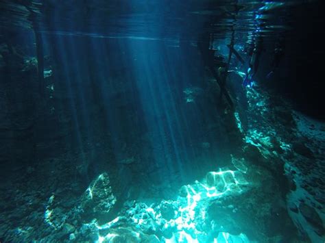 Quintana Roots Dive Center (Tulum) - 2022 What to Know Before You Go ...