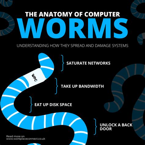 Computer Worms Definition 的图像结果