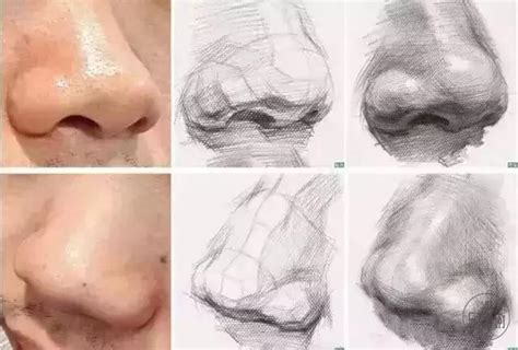 Image result for Dual Processing Model Visualization