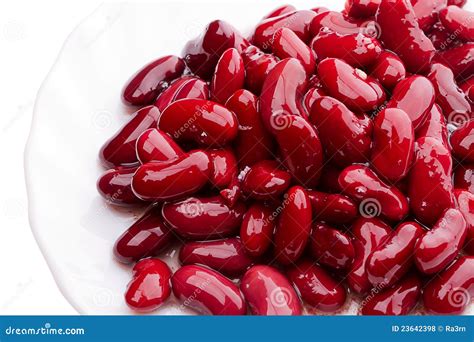 Canned red kidney beans stock photo. Image of isolated - 23642398