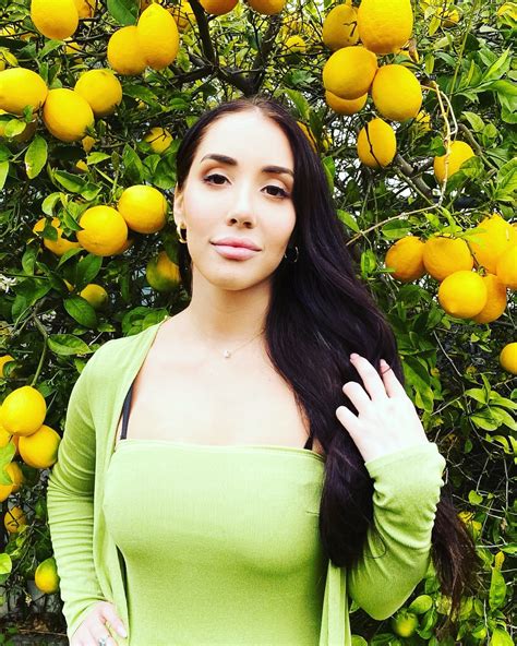 The World Of Adin Ross On Instagram | ICRW — Creator Insight Briefs