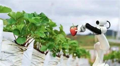 【农业科技】机器人技术正在农业领域大显身手_智慧农业-农博士农先锋网