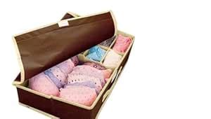 BACKBENCHER Foldable Lingerie/Undergarments Storage Organizer With Lid ...