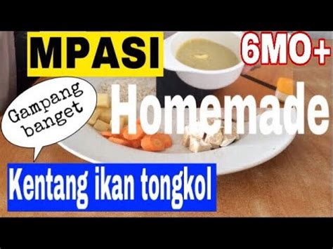 Resep Ikan Tongkol Untuk Bayi   Resep Kekinian