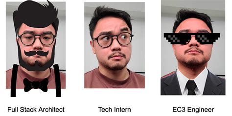 Developer vs Programmer 的图像结果