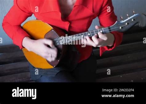 Image result for Traditional String Instruments