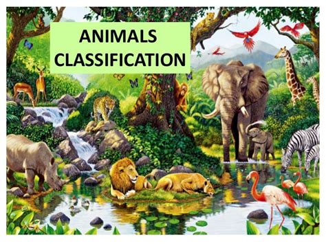 Classification Types of Animals 的图像结果