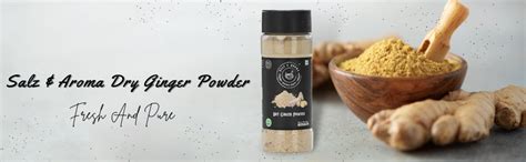 Salz & Aroma Dry Ginger/Sonth- Powder Sprinkler, 65 Grams : Amazon.in ...