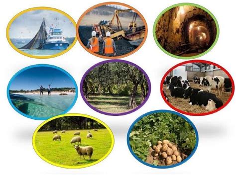 Basic Sector 的图像结果