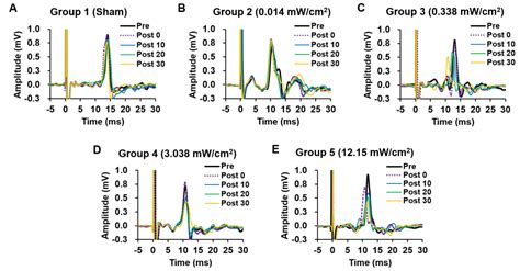 Weak Ultrasound Contributes to Neuromodulatory Effects in the Rat Motor ...